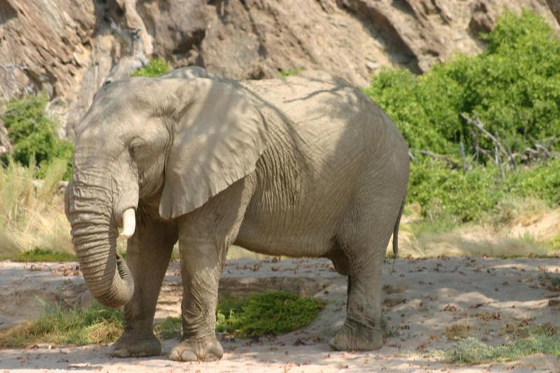 Fort Sesfontein Lodge & Safaris Luaran gambar
